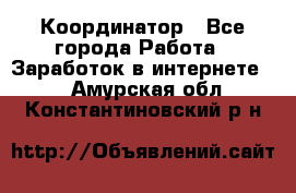 ONLINE Координатор - Все города Работа » Заработок в интернете   . Амурская обл.,Константиновский р-н